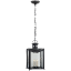 Mills Large Hanging Lantern RALPH LAUREN RL5802GZ-RG